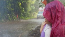 Pandya Store - 26th July 2022